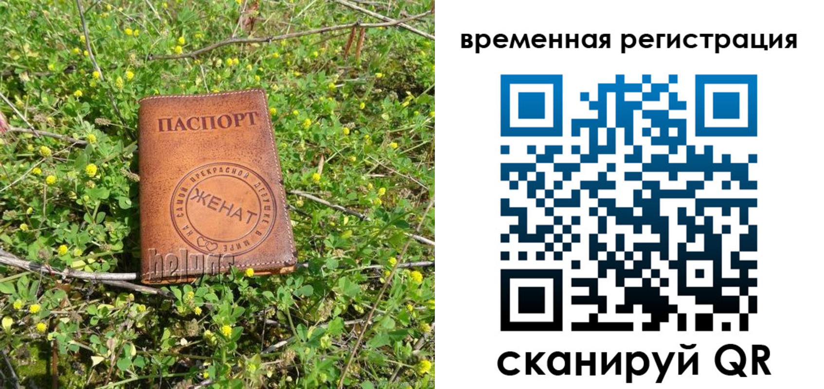 прописка регистрация в Светлограде